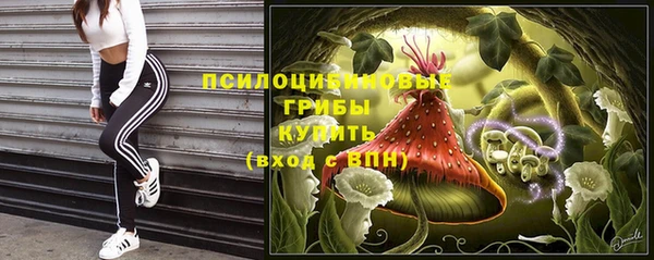 дурь Белоозёрский