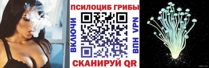 Галлюциногенные грибы мицелий  магазин продажи   Вольск 